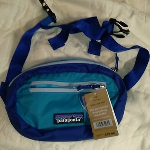 Patagonia ultralight black hole mini hip pack